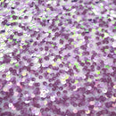 Belle Stretch Mesh Sequin | Blue Moon Fabrics
