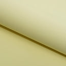 Core Recycled Nylon Spandex Fabric | Blue Moon Fabrics