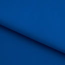 Double Sided Brushed Recycled Polyester Spandex | Blue Moon Fabrics