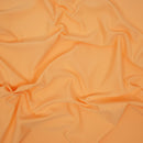 Feather Microfiber Nylon Spandex Jersey Fabric | Blue Moon Fabrics