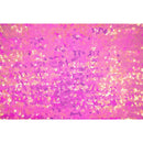 Halo Spandex Sequin Fabric | Blue Moon Fabrics