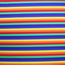 Rainbow Stripes Printed Spandex | Blue Moon Fabrics