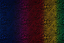 Multicolor Safari Spots Printed Spandex Fabric | Blue Moon Fabrics