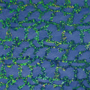 Toni Stretch Mesh Sequin Fabric | Blue Moon Fabrics