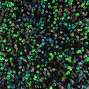 Sanibel Seashell Stretch Velvet Sequin Fabric | Blue Moon Fabrics